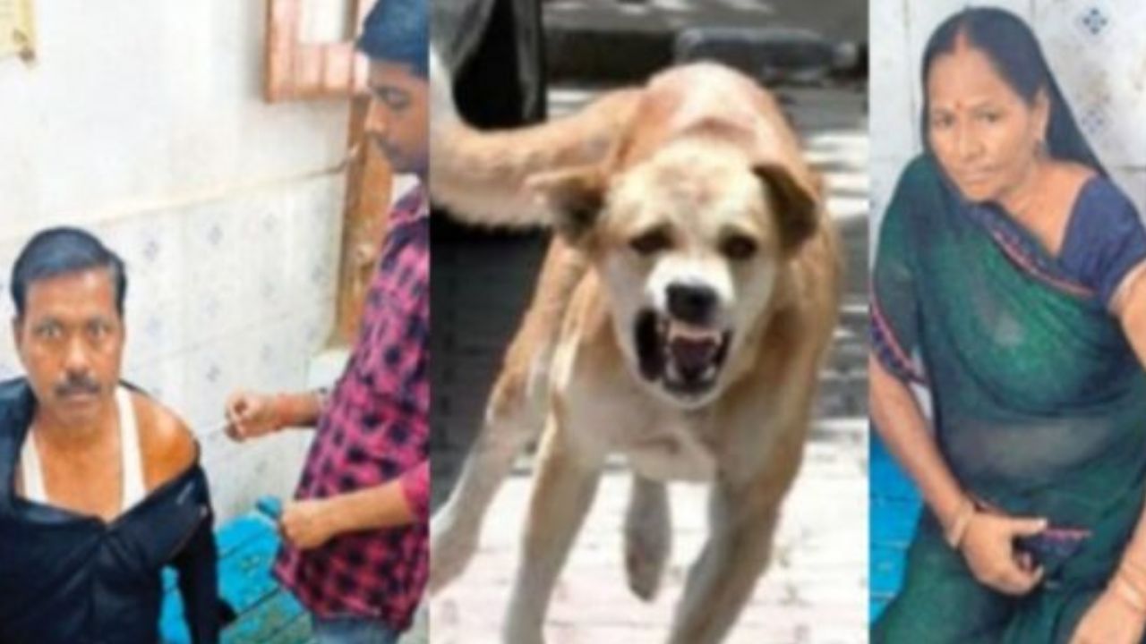 Gorakhpur News: रेबीज संक्रमित गाय के दूध से बना पंचामृत पी गए 150 ग्रामीण, जानिये फिर क्या हुआ?