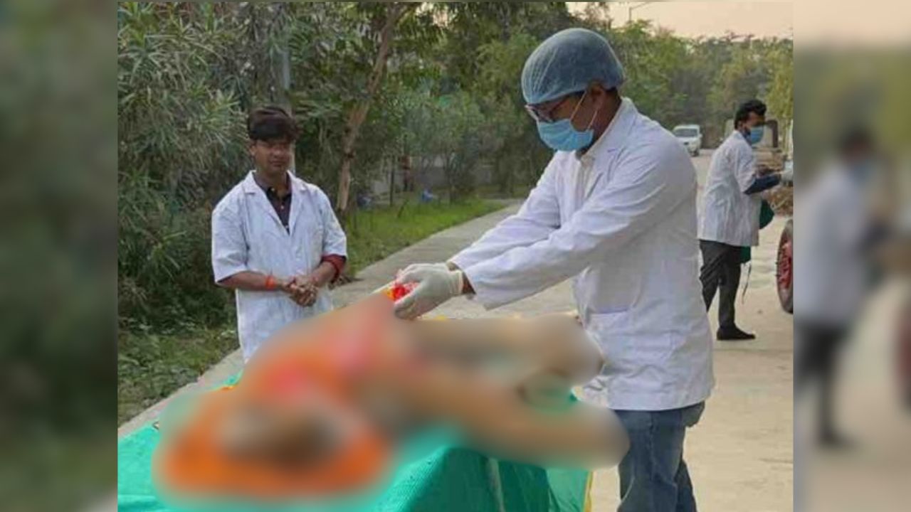 गोरखपुर का चिड़ियाघर बना ‘जानवरों का कब्रगाह’! कुछ महीनों में सात बड़े जीवों की मौत से मचा हड़कंप