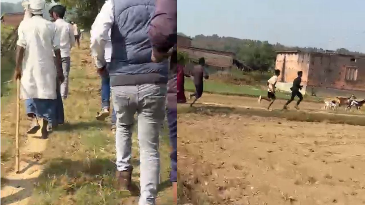 महराजगंज में तेंदुए का कहर: बकरी चराने गए पांच ग्रामीणों पर हमला, चार की हालत गंभीर