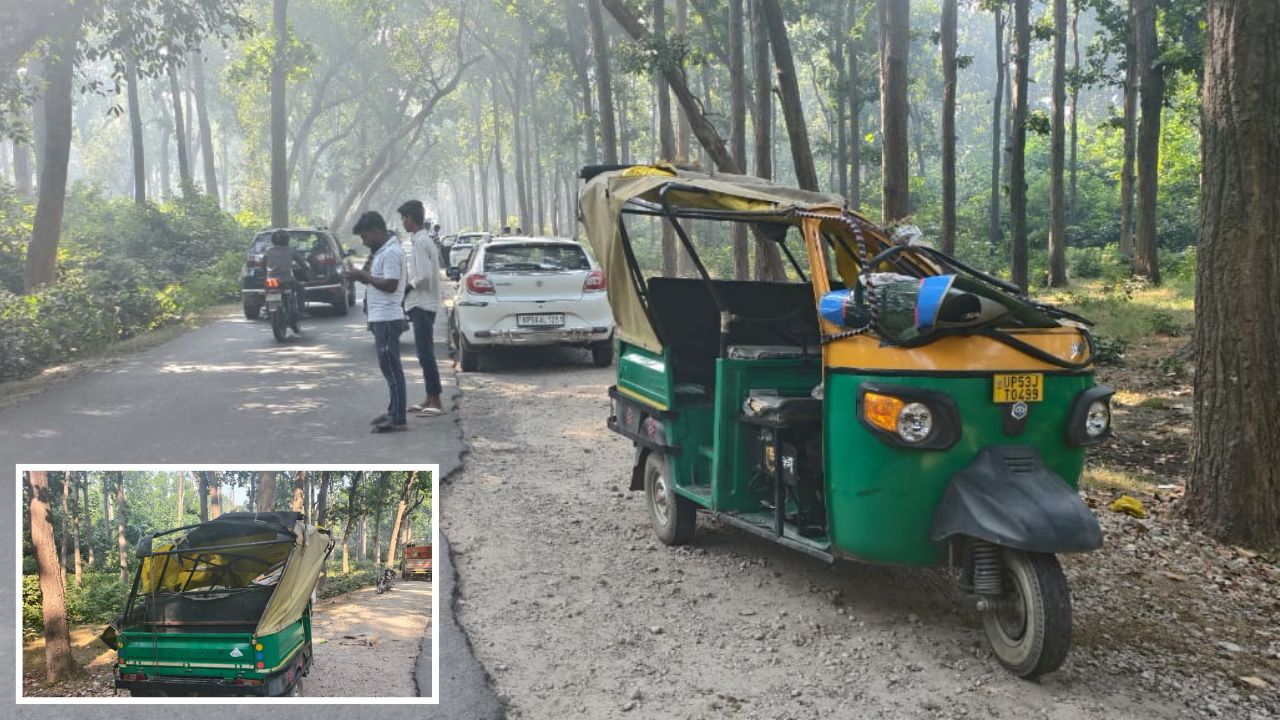 कुत्ते को बचाने की कोशिश में पलटा ऑटो, चालक गंभीर रूप से घायल; पढ़ें पूरी खबर