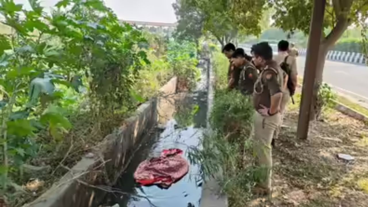 सिर-हाथ कटा महिला का शव बना पहेली: 500 गाड़ियां और 100 CCTV खंगाले, क्या लगा नोएडा पुलिस के हाथ?