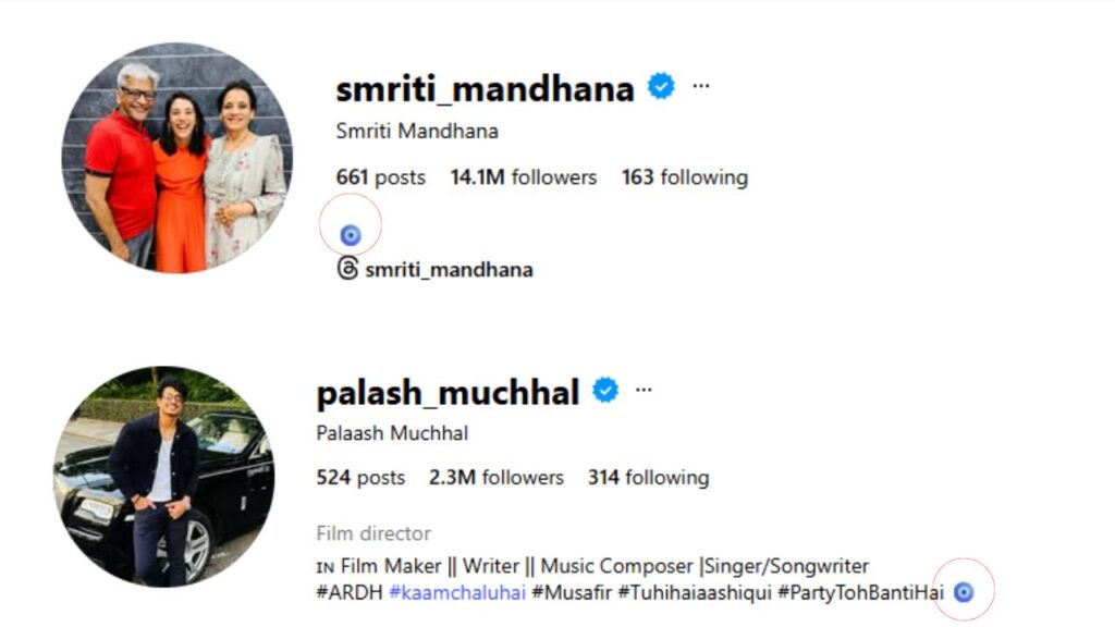 Smriti Mandhana and Palash Muchhal updated their bios