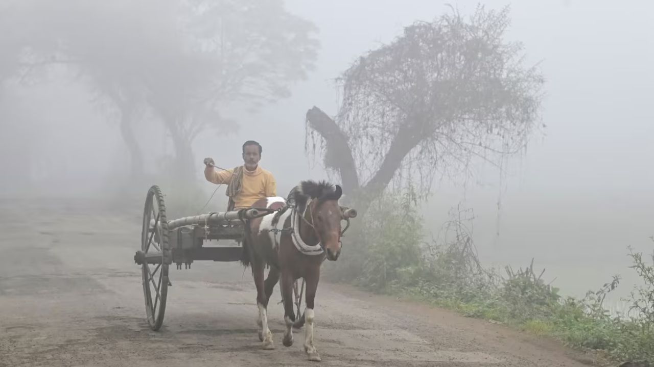 UP Weather Update: बढ़ रही ठंड ने बढ़ाई दिक्कतें, मौसम विभाग ने जारी किया नया अलर्ट