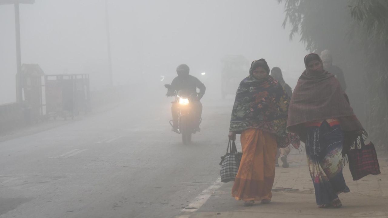 तराई इलाकों में कोहरे ने आम जीवन पर गहरा असर डालना शुरू कर दिया है। कई स्थानों पर दृश्यता शून्य मीटर तक पहुंच गई, जिससे वाहन चालकों और पैदल यात्रियों को असुविधा हुई। किसान भी खेतों में समय पर काम नहीं कर पाए। विशेषज्ञों का कहना है कि पहाड़ों से आ रही ठंडी हवाओं के चलते ये हालात अगले कुछ दिनों तक बने रह सकते हैं। (Img: Google)