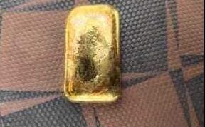 इंडो-नेपाल सीमा पर SSB का बड़ा एक्शन, नेपाली युवक से तस्करी के 14 लाख का सोना बरामद