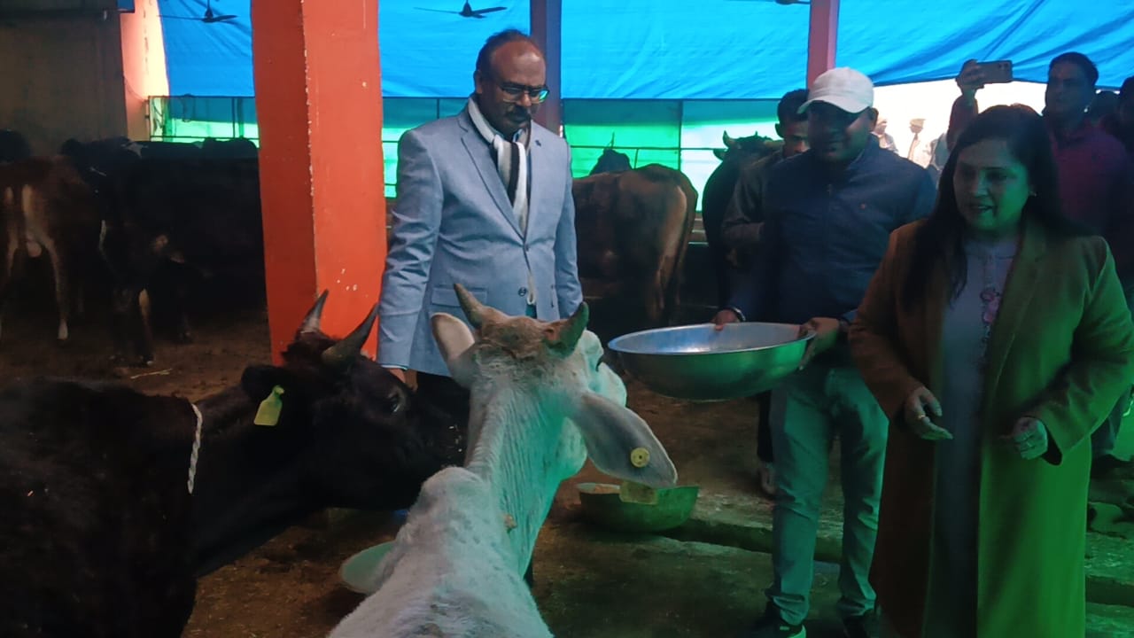 Maharajganj News: जिलाधिकारी ने कान्हा गौशाला का किया औचक निरीक्षण, 106 गोवंशों की देखरेख का लिया जायजा