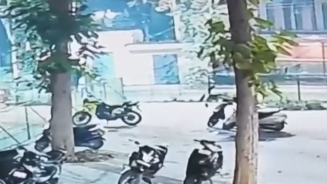 Aligarh News: एएमयू के शिक्षक दानिश हिलाल की हत्या, गोलीबारी के दौरान भगदड़ मच गई