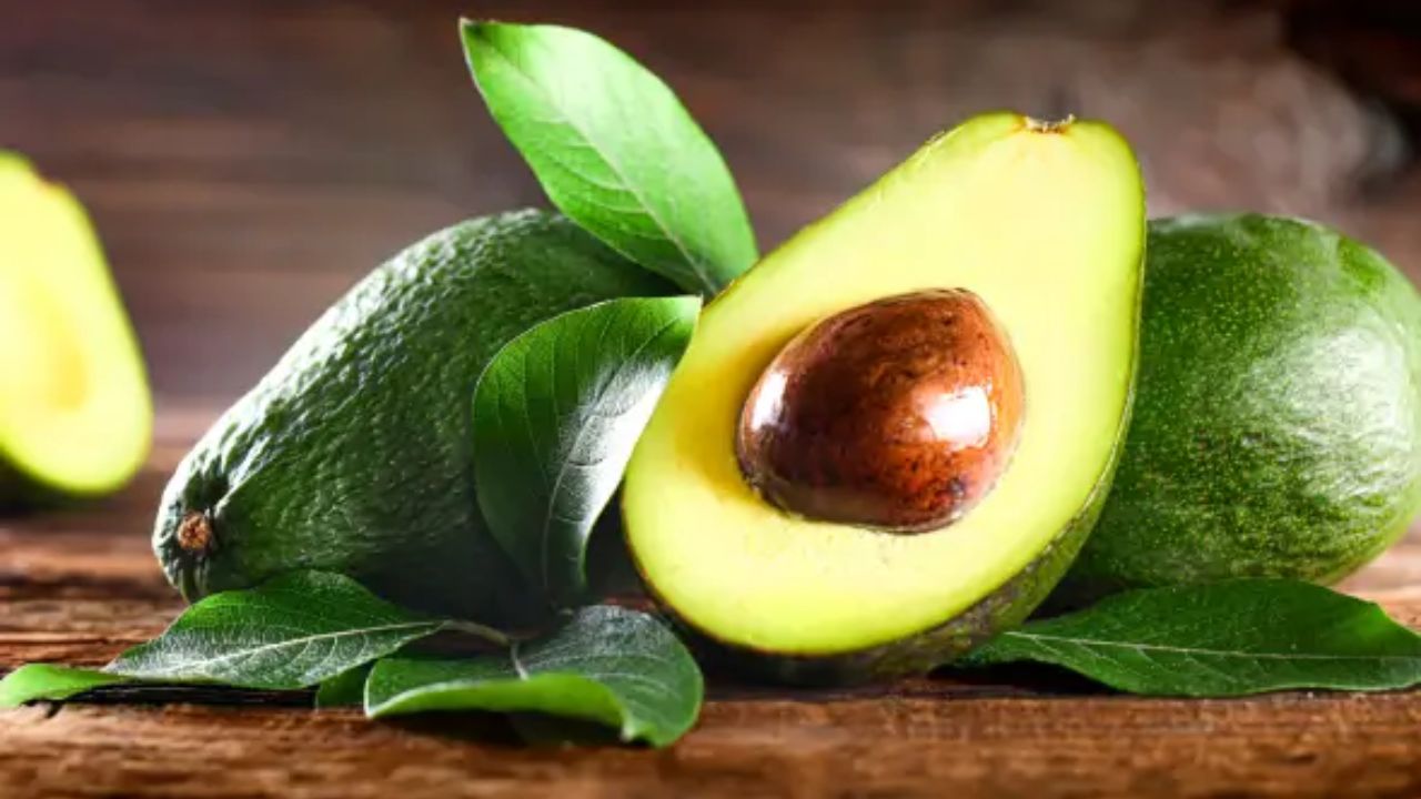 एवोकाडो में ग्लूटाथियोन नामक एंटीऑक्सीडेंट पाया जाता है, जो लिवर को हानिकारक रसायनों से बचाता है। इसमें मौजूद हेल्दी फैट्स लिवर की सूजन को कम करते हैं और उसकी कार्यप्रणाली को बेहतर बनाते हैं। नियमित रूप से एवोकाडो का सेवन करने से लिवर स्वस्थ रहता है और शरीर की सफाई प्रक्रिया बेहतर होती है। (Img: Google) एवोकाडो में ग्लूटाथियोन नामक एंटीऑक्सीडेंट पाया जाता है, जो लिवर को हानिकारक रसायनों से बचाता है। इसमें मौजूद हेल्दी फैट्स लिवर की सूजन को कम करते हैं और उसकी कार्यप्रणाली को बेहतर बनाते हैं। नियमित रूप से एवोकाडो का सेवन करने से लिवर स्वस्थ रहता है और शरीर की सफाई प्रक्रिया बेहतर होती है। (Img: Google)