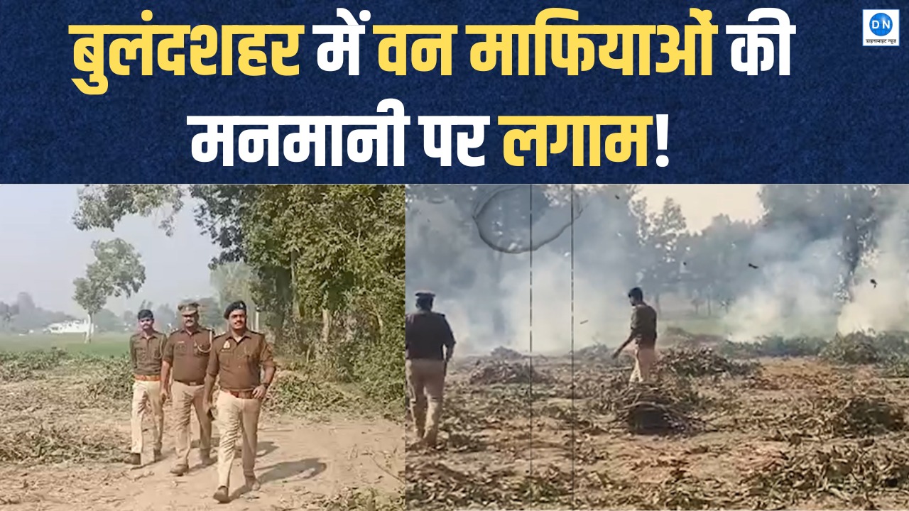 VIDEO: बुलंदशहर में बिना परमिशन के पेड़ काटने पर वन विभाग का शिकंजा, कार्रवाई जारी