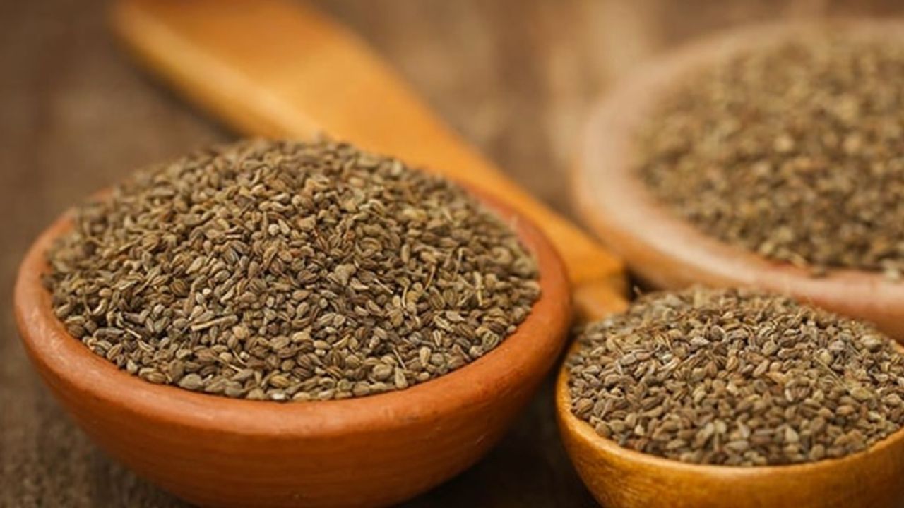 अजवाइन का सेवन सर्दियों में शरीर के लिए बेहद फायदेमंद होता है। यह इम्यूनिटी बढ़ाने के साथ सर्दियों में होने वाले संक्रमण और जुकाम से बचाव में मदद करता है। अजवाइन को भुना कर चाय में मिलाकर या रोजाना खाने में डालकर इस्तेमाल किया जा सकता है।