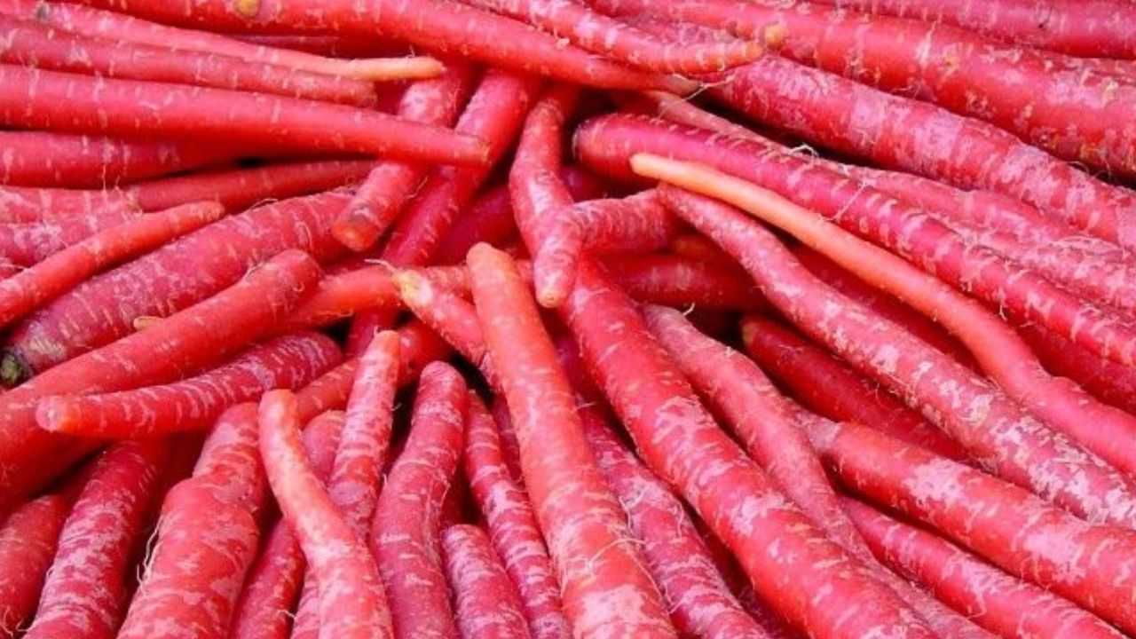 गाजर में बीटा कैरोटीन और विटामिन A की भरपूर मात्रा होती है, जो आपकी त्वचा को कोमल और स्वस्थ रखने में मदद करती है। यह त्वचा की कोशिकाओं की मरम्मत करने का काम करता है और सर्दियों में होने वाली त्वचा की समस्याओं से बचाता है। गाजर को आप जूस, सलाद या सब्जी के रूप में खा सकते हैं।