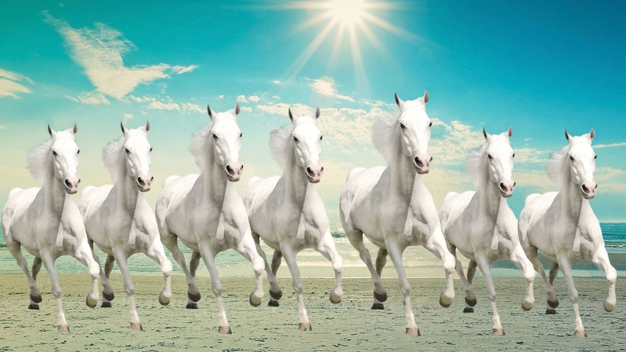 सात दौड़ते घोड़ों की तस्वीर सफलता, उन्नति और सकारात्मक ऊर्जा का प्रतीक मानी जाती है। इसे उपहार में देने से घर में खुशहाली आती है और आर्थिक समस्याएँ दूर होती हैं। यह करियर में प्रगति और प्रेरणा देने वाला शुभ चिन्ह है। वास्तु के मुताबिक यह तस्वीर घर के वातावरण में नई ऊर्जा और गति भरती है, इसलिए क्रिसमस पर यह एक बेहतरीन एवं शुभ उपहार है।