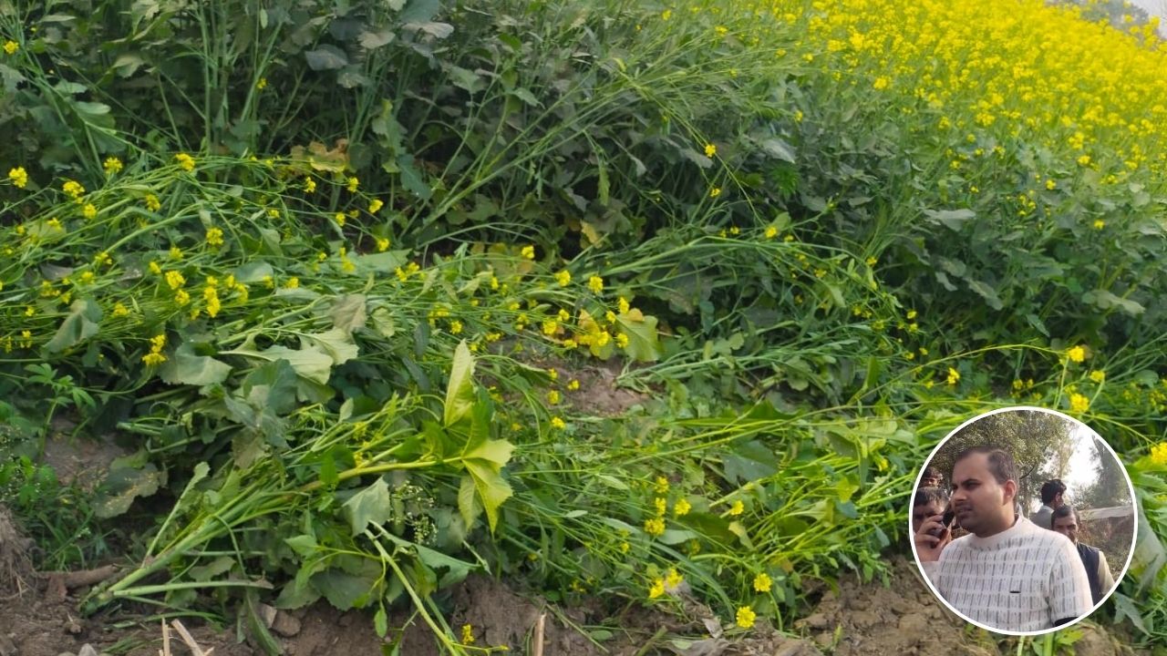 सचिव पर आरोप: खेत में गंदा पानी निकालने से फसल बर्बाद, किसान ने डीएम से की शिकायत