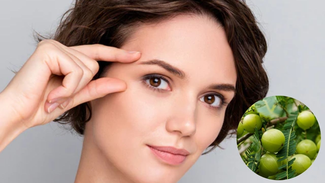 आंवला आयुर्वेद में आंखों के लिए बेहद फायदेमंद माना जाता है। इसका सेवन आंखों की रोशनी बढ़ाने और ड्राईनेस कम करने में मदद करता है। (img source: google) आंवला आयुर्वेद में आंखों के लिए बेहद फायदेमंद माना जाता है। इसका सेवन आंखों की रोशनी बढ़ाने और ड्राईनेस कम करने में मदद करता है। (img source: google)