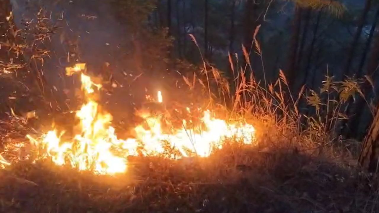 पहाड़ के जंगल पूस-दिसंबर में धू-धू कर जल, वन विभाग ने बताई मामूली आग; लाखों की वन संपदा राख