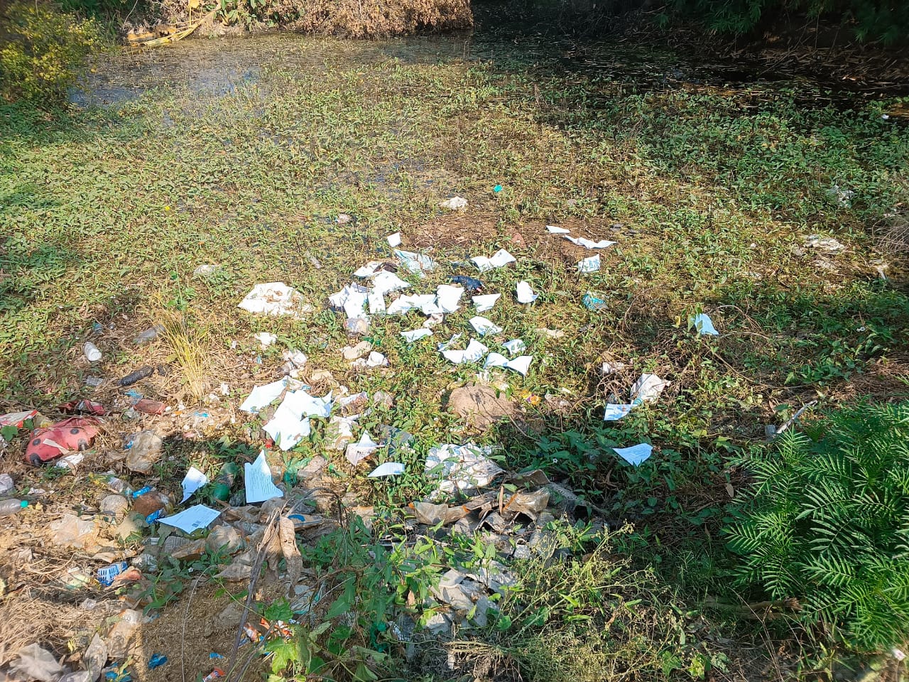 मतदाता सूची में नाम न होने पर भाई-बहन बिफरे, आंगनबाड़ी कार्यकत्री से मारपीट; फॉर्म फाड़कर तालाब में फेंके