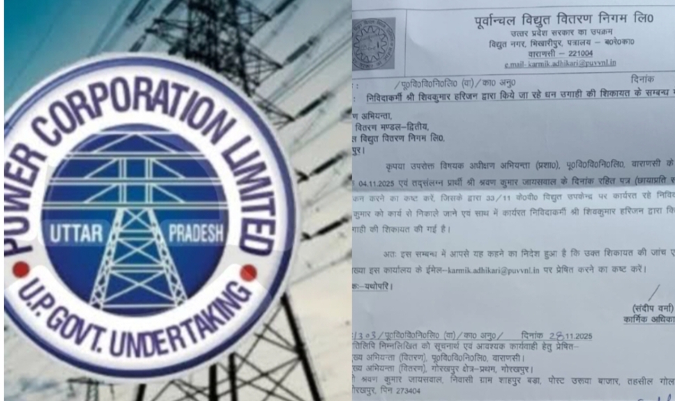 Gorakhpur: पूर्वांचल विद्युत निगम में निविदाकर्मी पर धन उगाही का गंभीर आरोप, जांच शुरू