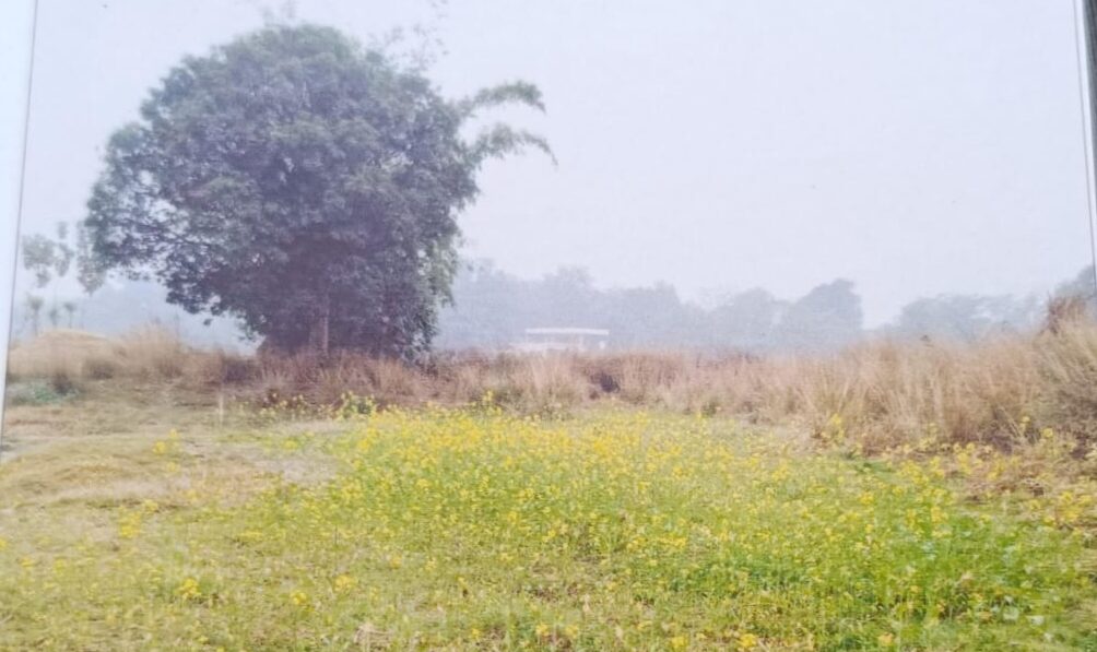 गोरखपुर: डोहरिया कला में अमृत सरोवर का फर्जी घोटाला, जानिए क्या है पूरा मामला