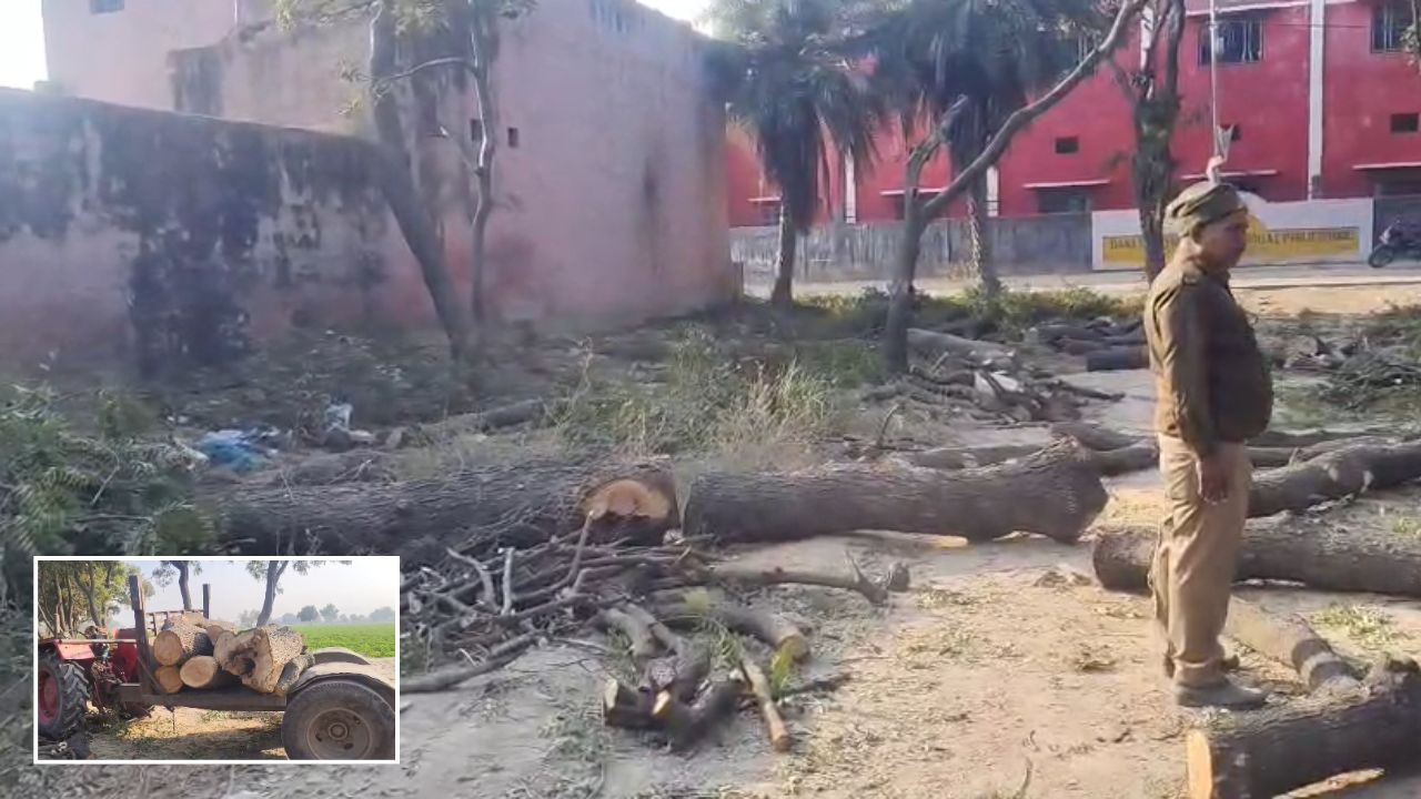 बुलंदशहर में वन विभाग की बड़ी कार्रवाई: अवैध नीम कटान करते पकड़े गए माफिया, पढ़ें पूरी खबर