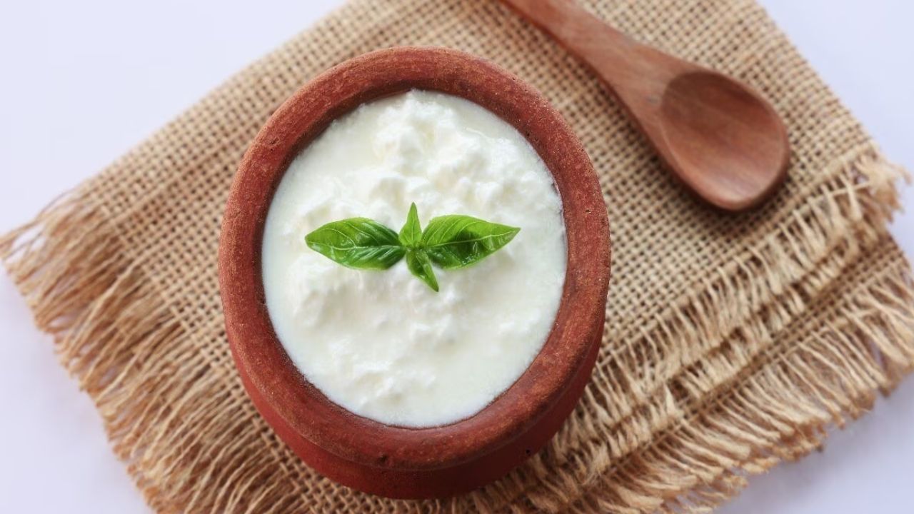 दही की अम्लीय प्रकृति स्टील के साथ रिएक्शन कर सकती है। इससे दही जल्दी खराब हो जाती है और फर्मेंटेशन बढ़ जाता है। मिट्टी या कांच के बर्तन दही के लिए सबसे बेहतर हैं।(फोटो सोर्स- गूगल)