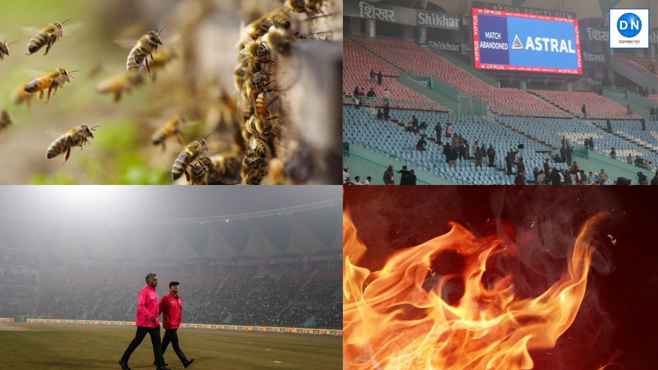 कभी कोहरा तो कभी मधुमक्खियों का हमला… जानें 5 सबसे हैरान करने वाले मामले, जिनकी वजह से रूका मैच