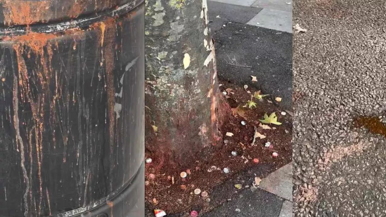 लंदन की सड़कों पर पान-गुटखा के दाग: महिला पत्रकार के वीडियो ने मचाया बवाल, भारतीय यूजर्स भी हुए शर्मिंदा