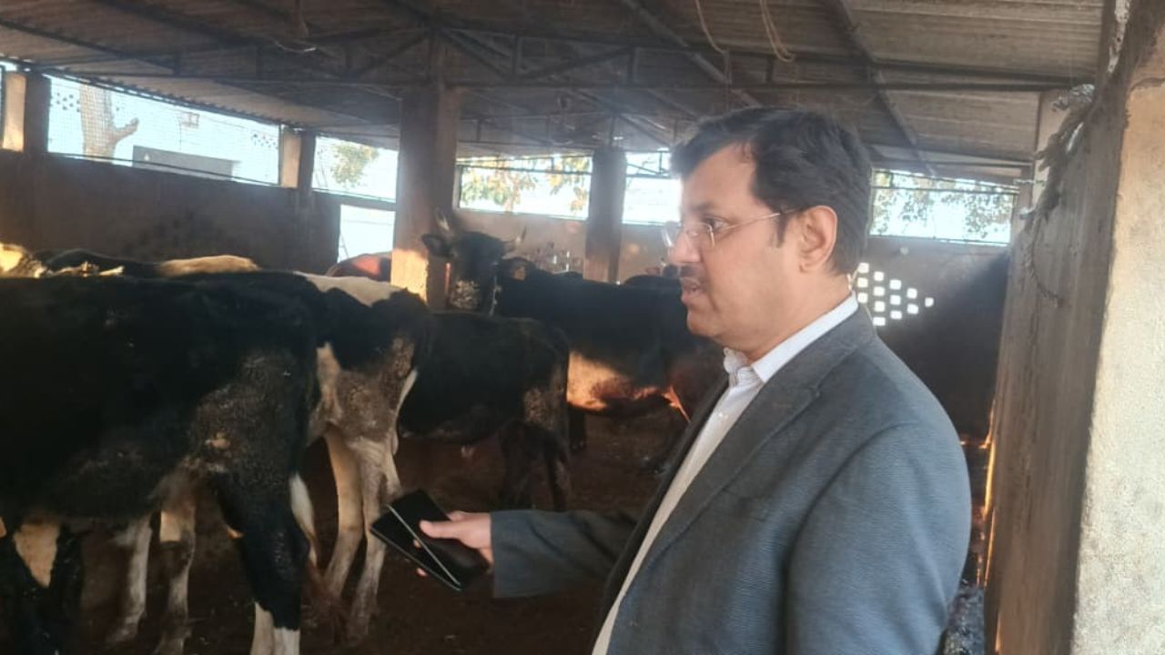 Maharajganj CDO ने गौशालाओं का किया औचक निरीक्षण, कहा फार्मर रजिस्ट्री में लापरवाही बर्दाश्त नहीं