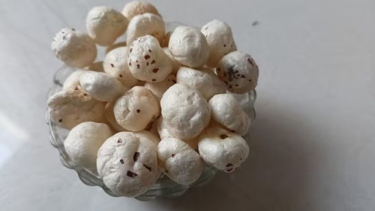 सर्दियों के मौसम में भूख ज्यादा लगती है और अक्सर लोग इस दौरान जंक फूड या तले-भुने स्नैक्स का सेवन करने लगते हैं, जो सेहत के लिए नुकसानदायक हो सकते हैं। ऐसे में अगर आप हेल्दी विकल्प की तलाश में हैं तो मखाना यानी फॉक्स नट्स एक बेहतरीन विकल्प है। एंटीऑक्सीडेंट्स और जरूरी पोषक तत्वों से भरपूर मखाना न केवल स्वादिष्ट होता है, बल्कि शरीर को अंदर से मजबूत भी बनाता है। सर्दियों के मौसम में भूख ज्यादा लगती है और अक्सर लोग इस दौरान जंक फूड या तले-भुने स्नैक्स का सेवन करने लगते हैं, जो सेहत के लिए नुकसानदायक हो सकते हैं। ऐसे में अगर आप हेल्दी विकल्प की तलाश में हैं तो मखाना यानी फॉक्स नट्स एक बेहतरीन विकल्प है। एंटीऑक्सीडेंट्स और जरूरी पोषक तत्वों से भरपूर मखाना न केवल स्वादिष्ट होता है, बल्कि शरीर को अंदर से मजबूत भी बनाता है।