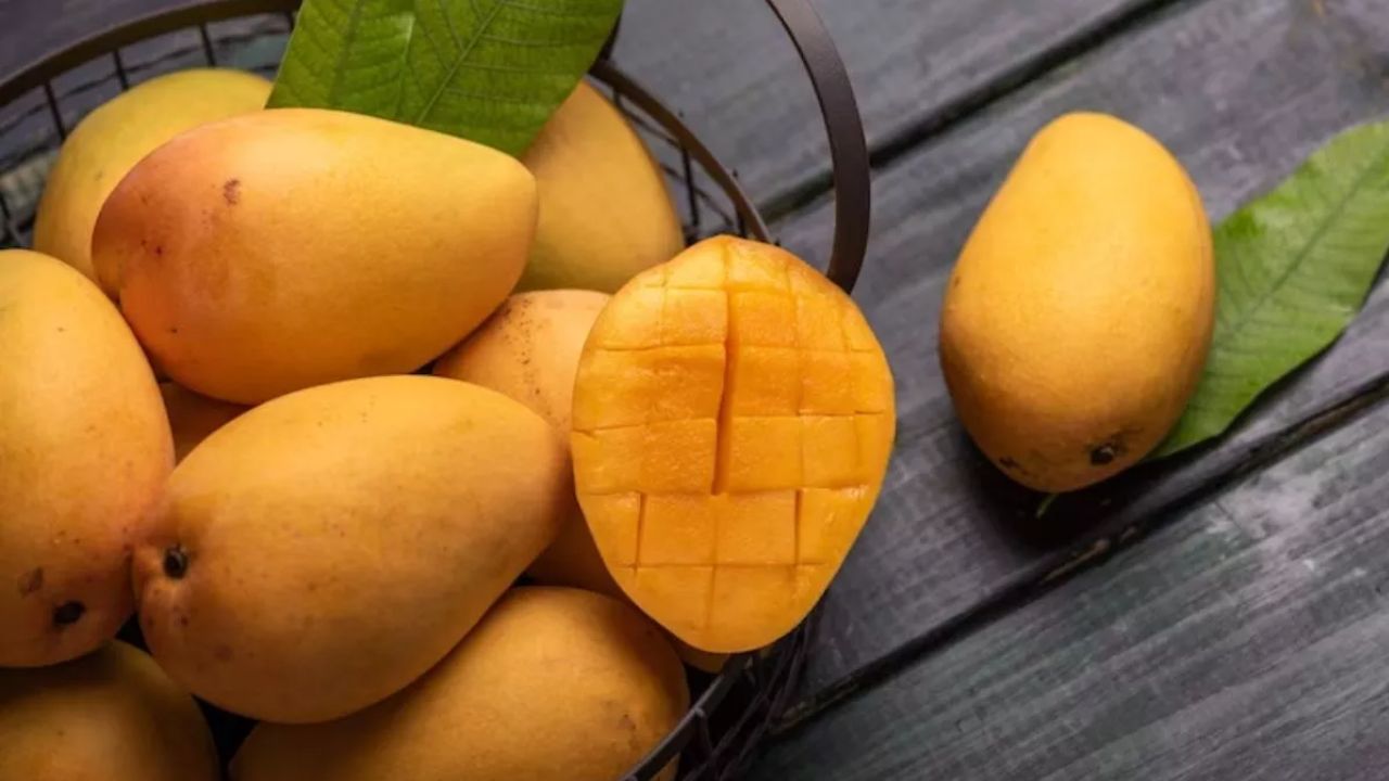 हालांकि आम की तासीर गर्म होती है, इसलिए इसे जरूरत से ज्यादा नहीं खाना चाहिए। ज्यादा सेवन से पेट खराब, गले में खराश या एलर्जी की समस्या हो सकती है। (Img Source: Google)