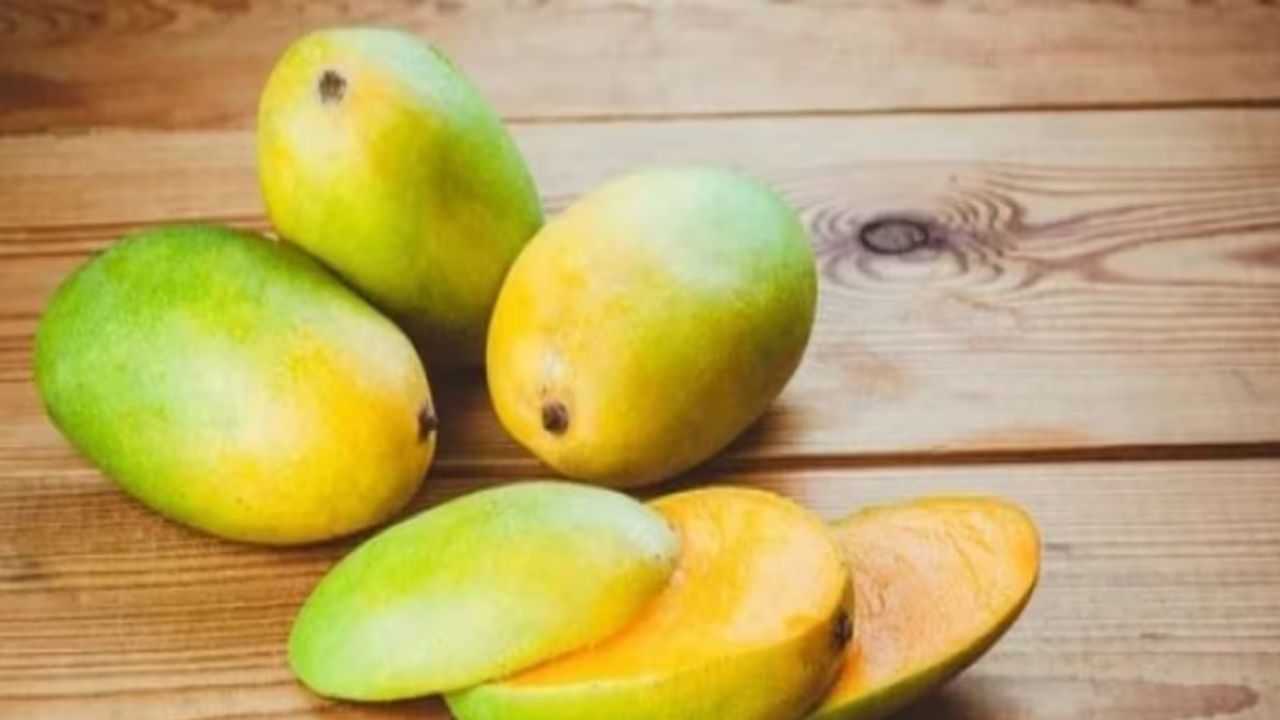 आम दिल की सेहत को सपोर्ट करता है और स्किन को हेल्दी व चमकदार बनाता है। इसमें मौजूद खास तत्व शरीर को कई गंभीर बीमारियों से बचाने में मदद करते हैं। (Img Source: Google)