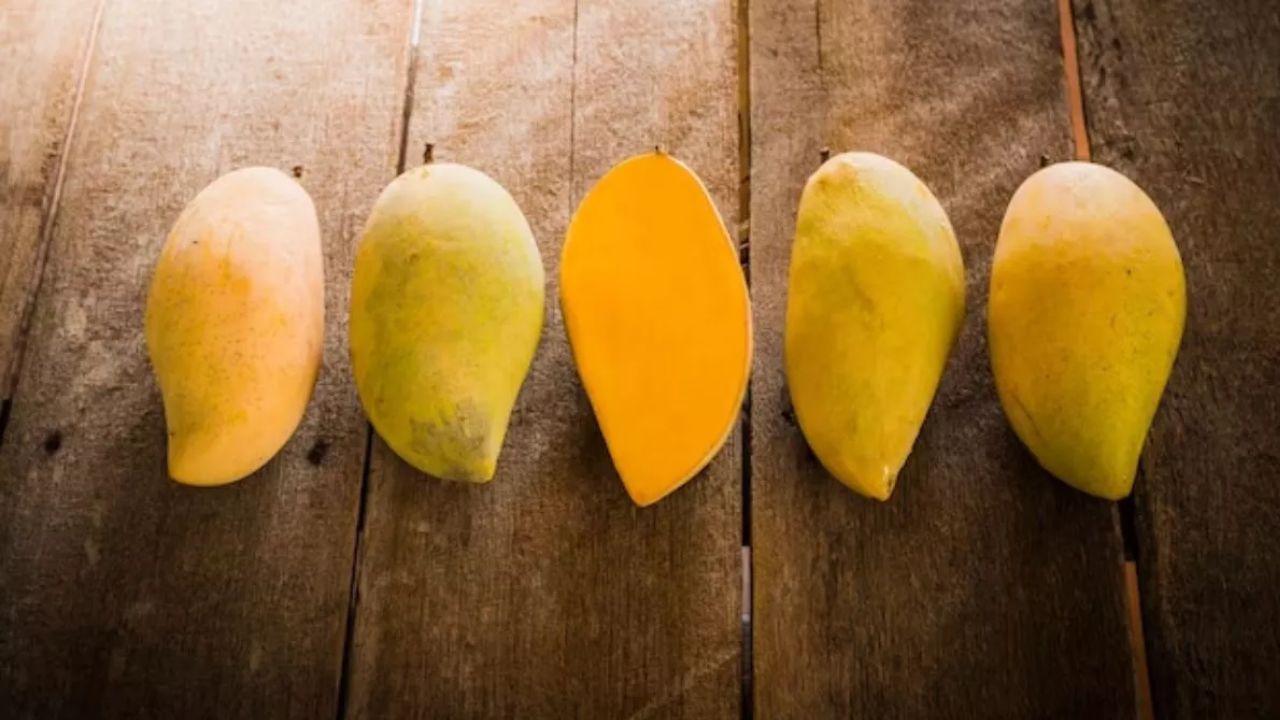 आम को आमतौर पर फलों का राजा कहा जाता है, लेकिन इसके पोषण और उत्पादन के कारण इसे फलों का भगवान भी माना जाता है। भारत दुनिया में सबसे ज्यादा आम पैदा करने वाला देश है। (Img Source: Google)