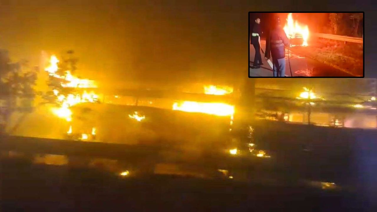 दिल्ली-आगरा एक्सप्रेसवे पर 7 बसों की भीषण टक्कर, 4 की मौत, 25 घायल; जानें कैसे हुआ हादसा