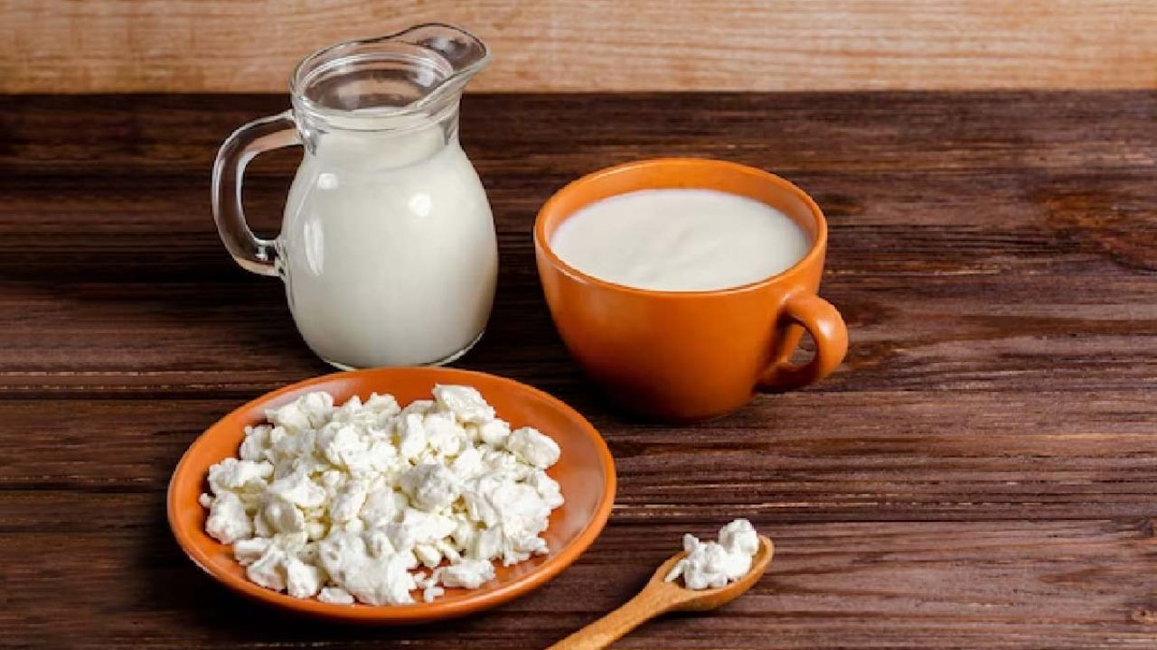 दूध, दही और पनीर कैल्शियम के उत्कृष्ट स्रोत हैं। कैल्शियम हड्डियों और मांसपेशियों को मजबूत रखने में आवश्यक है। अगर किसी को डेयरी से एलर्जी है तो सोया या बादाम दूध विकल्प के रूप में लिया जा सकता है। नियमित कैल्शियम सेवन से मांसपेशियों के दर्द और हड्डियों की कमजोरी कम होती है। दूध, दही और पनीर कैल्शियम के उत्कृष्ट स्रोत हैं। कैल्शियम हड्डियों और मांसपेशियों को मजबूत रखने में आवश्यक है। अगर किसी को डेयरी से एलर्जी है तो सोया या बादाम दूध विकल्प के रूप में लिया जा सकता है। नियमित कैल्शियम सेवन से मांसपेशियों के दर्द और हड्डियों की कमजोरी कम होती है।