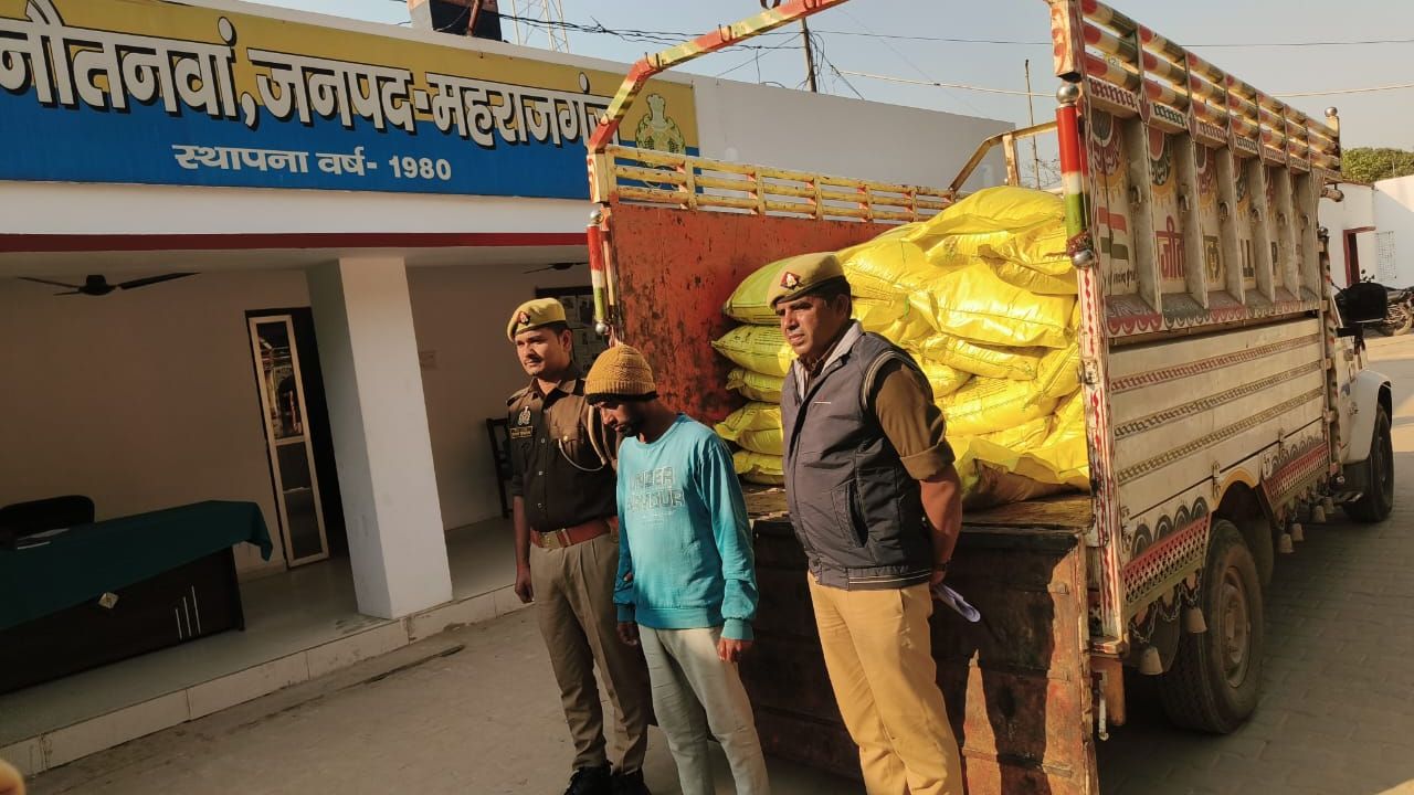 Maharajganj Smuggling: भारत-नेपाल बॉर्डर पर तस्करों का नेटवर्क सक्रिय, नौतनवा पुलिस ने 60 बोरी यूरिया के साथ एक गिरफ्तार