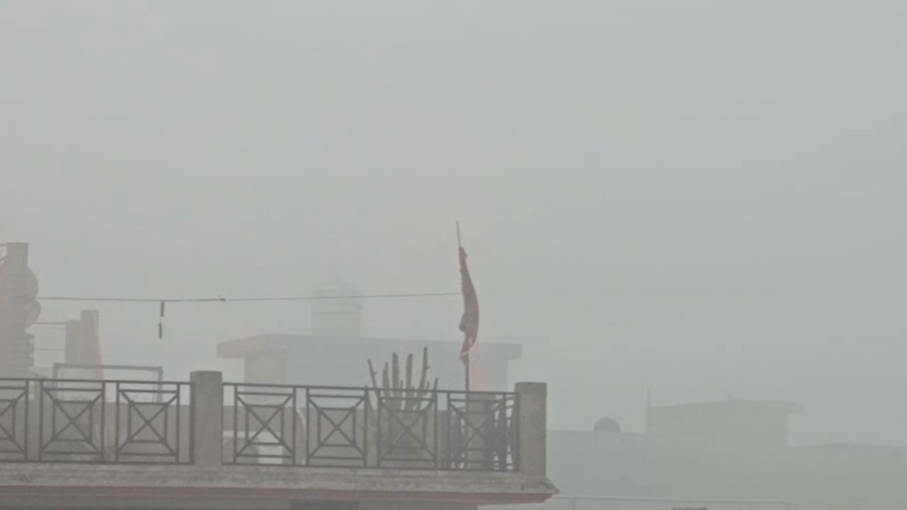 नैनीताल जिले में घना कोहरा, विजिबिलिटी बेहद कम, ठिठुरन भरी ठंड से बढ़ी मुश्किलें