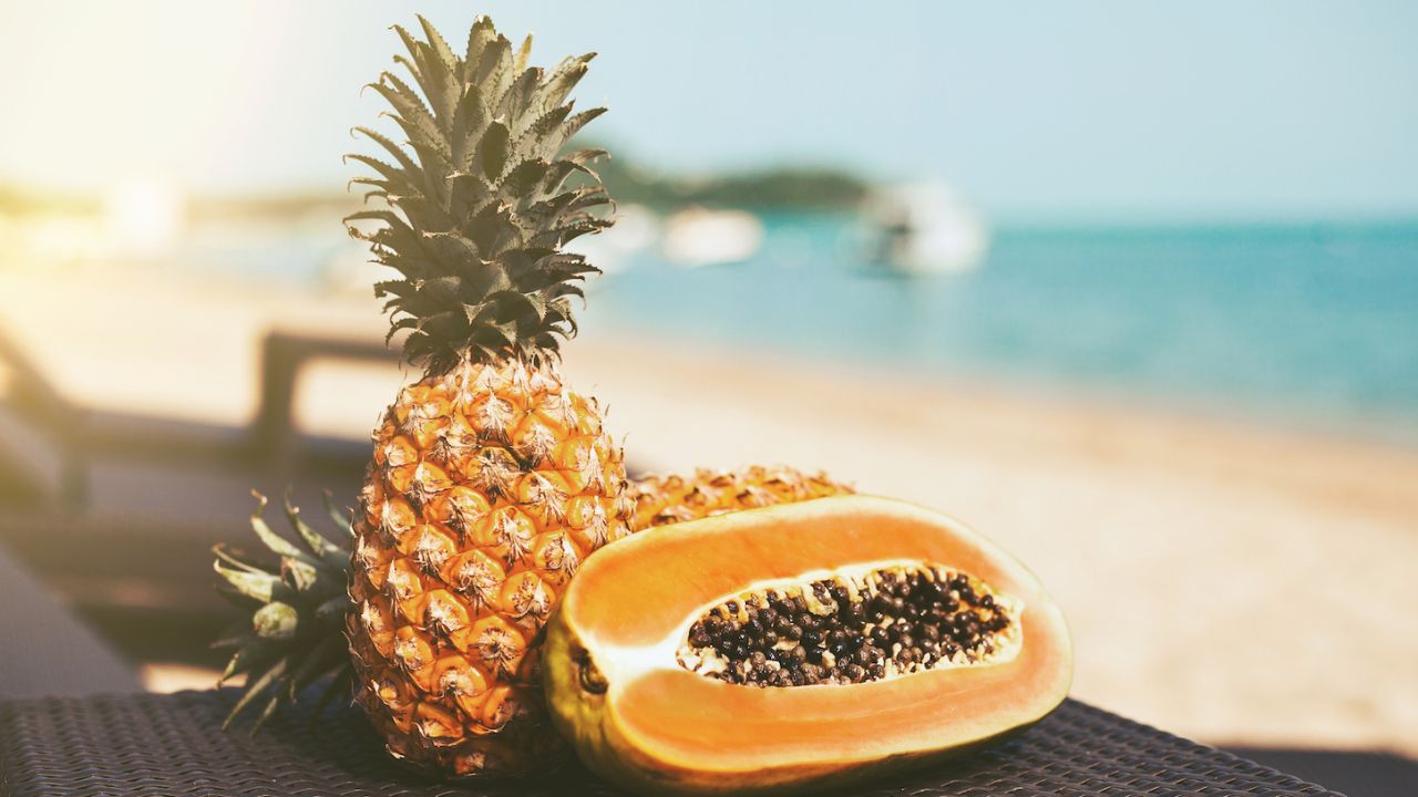 अनानास और पपीता में मौजूद ब्रोमेलैन नामक एंज़ाइम सूजन और दर्द को कम करने में मदद करता है। विशेष रूप से जोड़ों के दर्द में इन फलों का सेवन लाभकारी होता है। अनानास और पपीता को नियमित आहार में शामिल करने से मांसपेशियों की ऐंठन और सूजन दोनों कम हो सकती हैं। अनानास और पपीता में मौजूद ब्रोमेलैन नामक एंज़ाइम सूजन और दर्द को कम करने में मदद करता है। विशेष रूप से जोड़ों के दर्द में इन फलों का सेवन लाभकारी होता है। अनानास और पपीता को नियमित आहार में शामिल करने से मांसपेशियों की ऐंठन और सूजन दोनों कम हो सकती हैं।