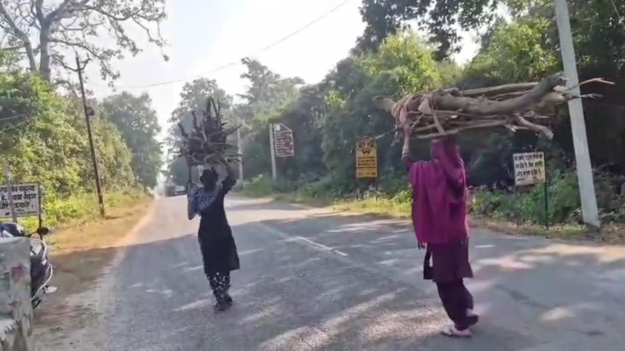 Nainital: सर्दियों में वन्यजीव आक्रामक, कॉर्बेट प्रशासन ने ग्रामीणों को जंगल जाने से रोका