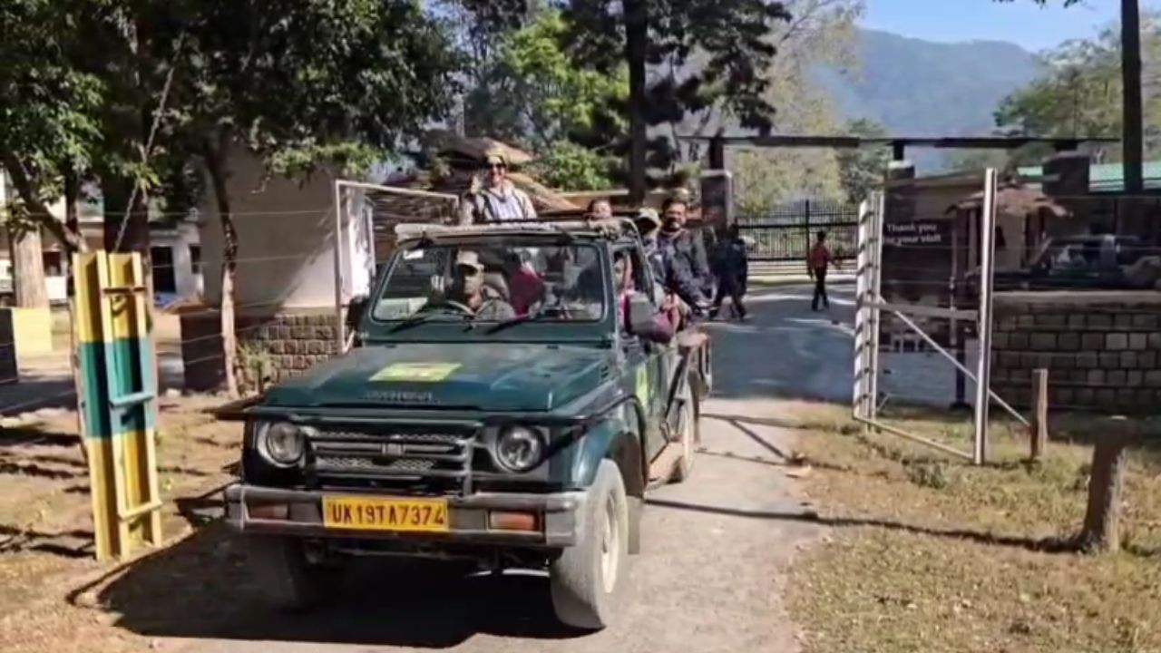 Ramnagar: बाघ देखने की लालसा में पर्यटक ने तोड़ा नियम, कॉर्बेट प्रशासन ने किया ब्लैकलिस्ट; जानें पूरा मामला