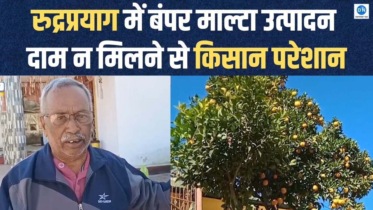Video: रुद्रप्रयाग में माल्टा की फसल हुई शानदार, लेकिन किसानों को नहीं मिल रहा सही दाम, जानें क्यों?