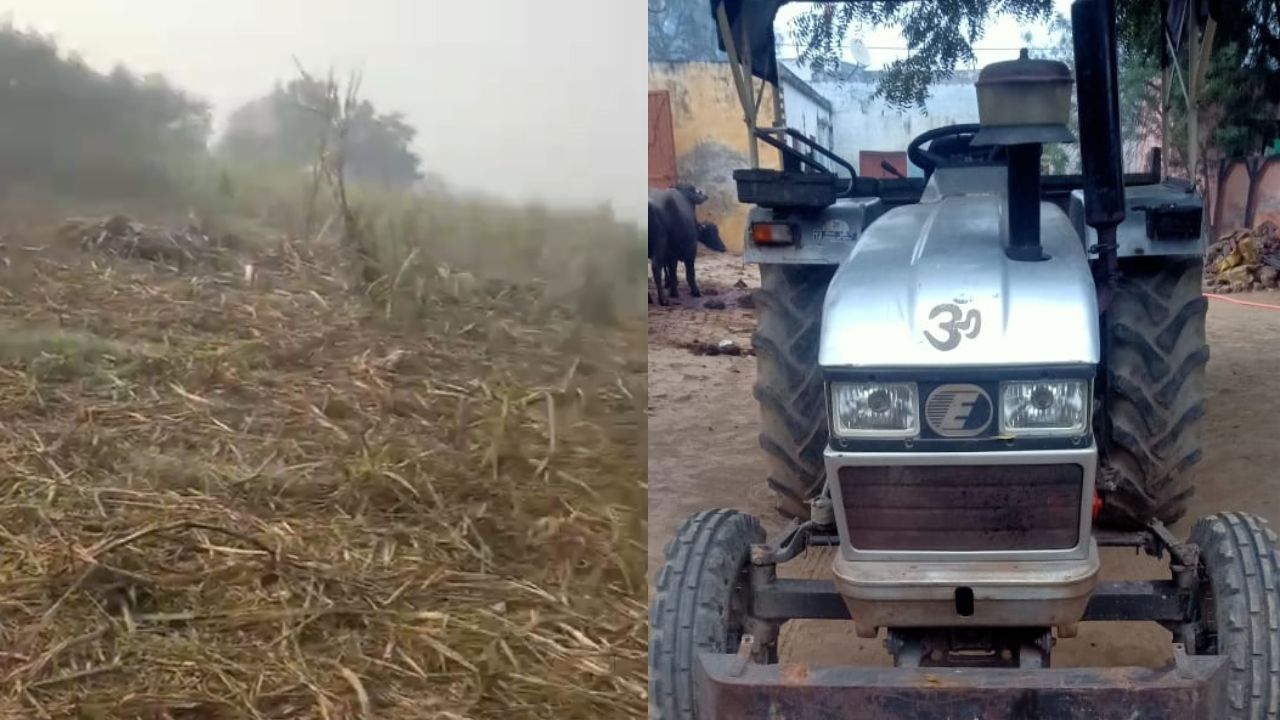 Bulandshahr News: गन्ने की हरी फसल अचानक गायब, दरोगा ने खुद दिखाया चौंकाने वाला सच