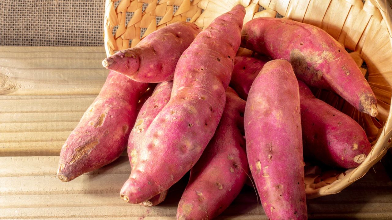 शकरकंद सर्दियों में खाई जाने वाली एक और फायदेमंद सब्जी है, जो त्वचा को मुलायम और नमीदार बनाए रखने में मदद करती है। इसमें बीटा कैरोटीन और विटामिन A भरपूर मात्रा में होते हैं, जो शरीर को गर्म रखने के साथ-साथ त्वचा को भी सेहतमंद बनाए रखते हैं। शकरकंद को आप सलाद, सूप या भूनकर खा सकते हैं।