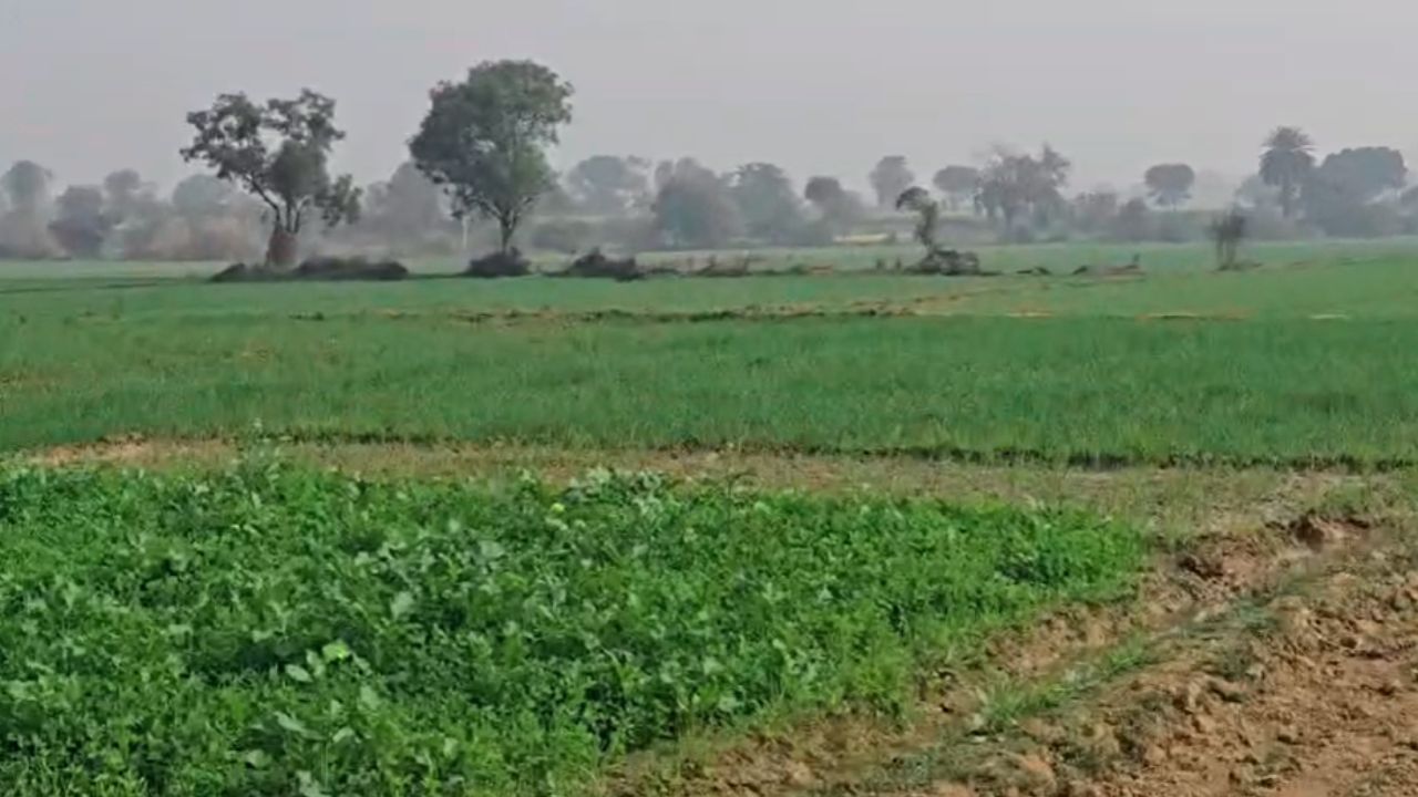 Badaun Crime: बदायूं में जंगली जानवर का हमला, वन विभाग के कर्मचारी गंभीर रूप से घायल