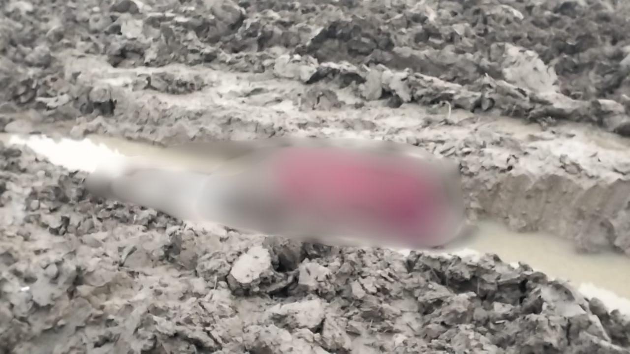 देवरिया में खेत से युवक का शव मिलने से मचा कोहराम, जानें क्या है पूरा मामला