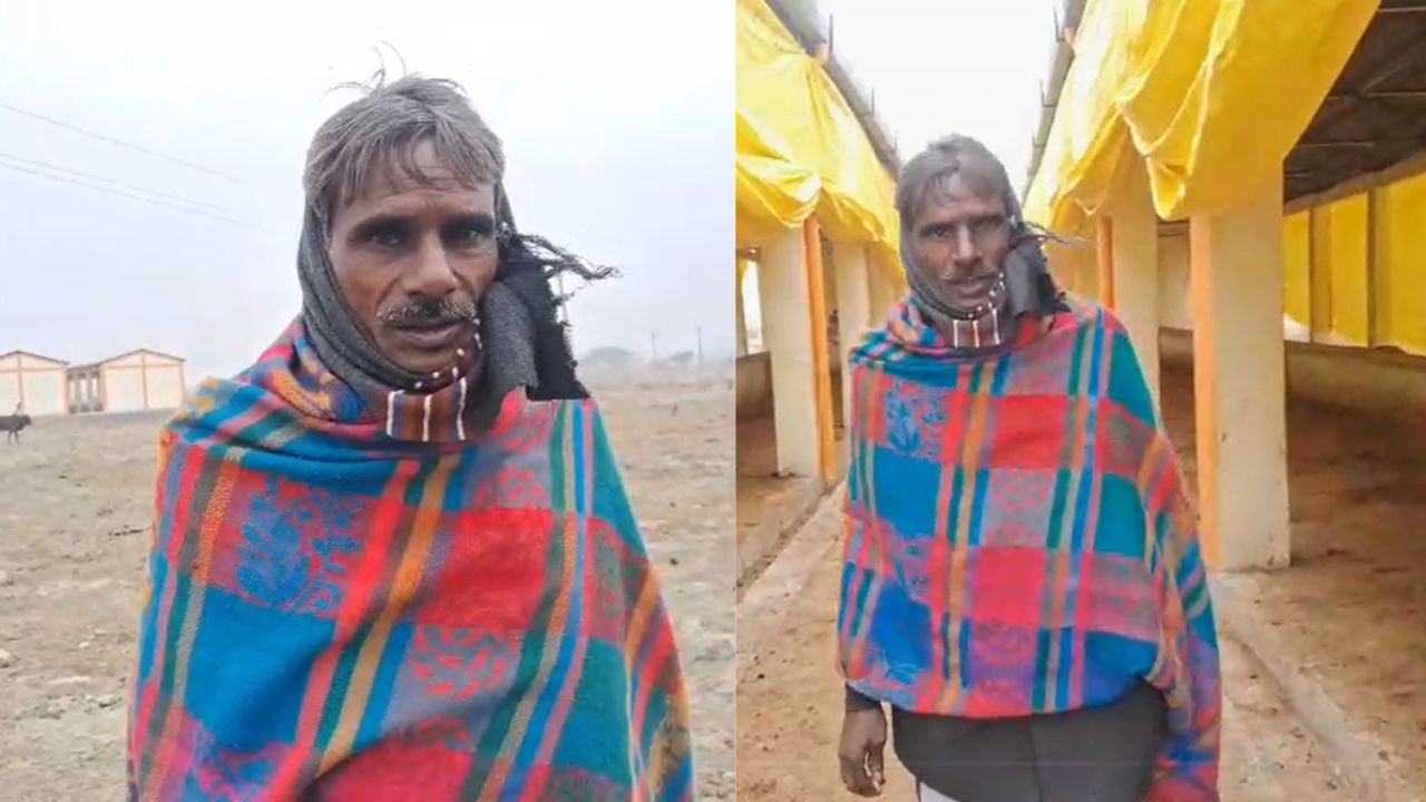 Fatehpur Crime: फतेहपुर की भादर नंदी गौशाला में व्यवस्था फेल, सड़कों पर भटकते गोवंश