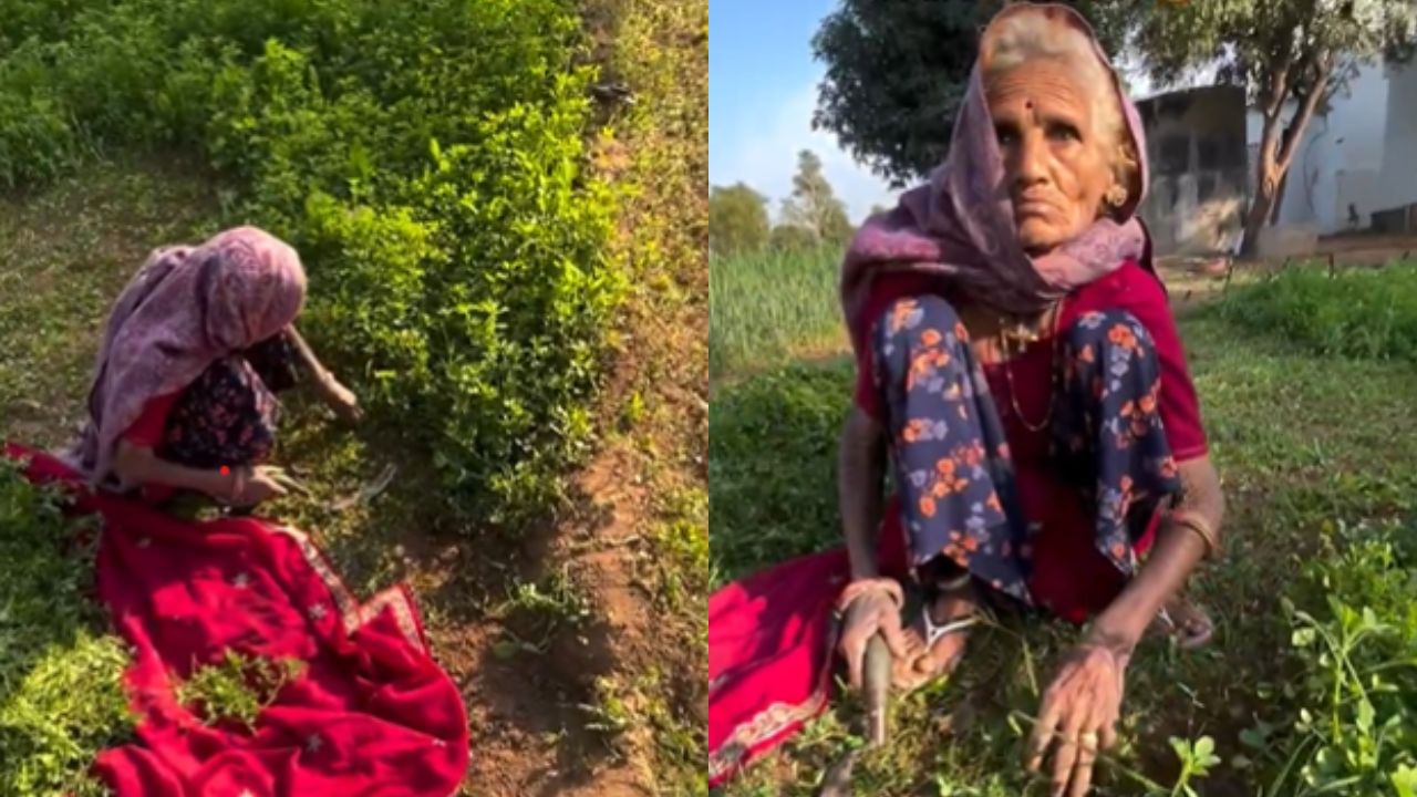 Viral Video: दादी को मिला ऐसा सरप्राइज….देखकर भर आई आंखें, कुछ ही पल में बदल गया पूरा माहौल