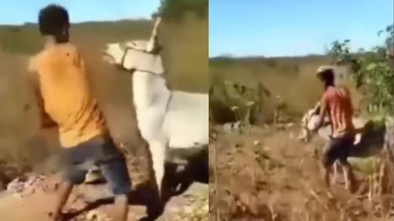 गधे पर मालिक की बेरहमी का मिला करारा जवाब, Viral हुआ Video