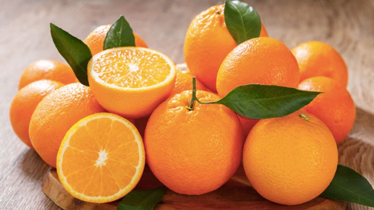 सर्दियों में विटामिन सी से भरपूर सिट्रस फल बेहद फायदेमंद माने जाते हैं। संतरा, नींबू और मौसमी शरीर की इम्युनिटी के साथ स्ट्रेस रिस्पॉन्स को भी बेहतर बनाते हैं। (img source: google) सर्दियों में विटामिन सी से भरपूर सिट्रस फल बेहद फायदेमंद माने जाते हैं। संतरा, नींबू और मौसमी शरीर की इम्युनिटी के साथ स्ट्रेस रिस्पॉन्स को भी बेहतर बनाते हैं। (img source: google)