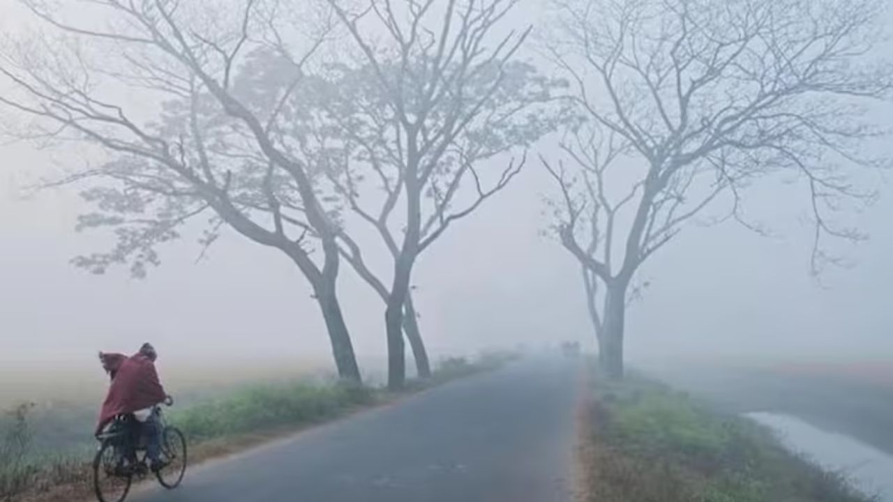 उत्तर प्रदेश में मौसम का मिजाज़ इस समय पूरी तरह बदल चुका है। दिसंबर की दस्तक ने ठंड को नए स्तर पर पहुंचा दिया है। पछुआ हवाओं के सक्रिय होने से गलन और ज्यादा महसूस हो रही है। वहीं, पूर्वी यूपी के तराई वाले जिलों में घना कोहरा लोगों की सुबह मुश्किल कर रहा है। (Img: Google)