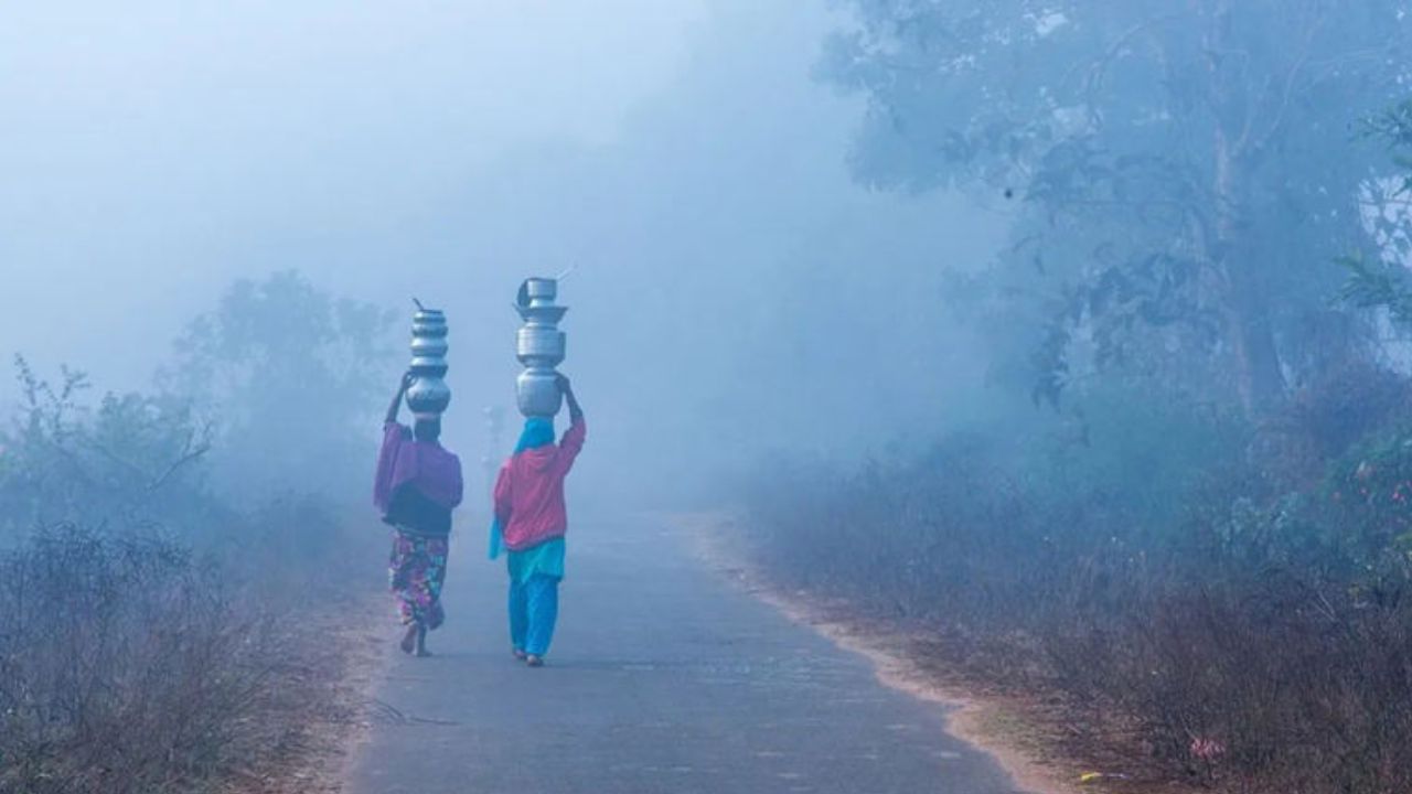 11 और 12 दिसंबर को भी मौसम में बड़ा बदलाव होने की संभावना नहीं है। दिन में हल्की धूप निकलने से थोड़ी राहत अवश्य मिलेगी, लेकिन सुबह और देर शाम को कोहरा और ठंड दोनों अपना असर बनाए रखेंगे। (Img: Google)
