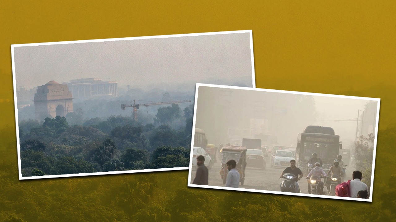 प्रदूषण से जंग: 5 सुपर फ़्रूट्स और वेजिटेबल्स, जो आपके फेफड़ों को बनाते हैं मज़बूत